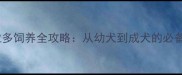 拉布拉多饲养全攻略从幼犬到成犬的必备指南