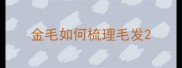 金毛如何梳理毛发