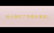 哈士奇吃了鸡骨头便血