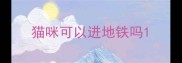猫咪可以进地铁吗