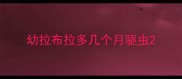 幼拉布拉多几个月驱虫