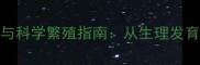 哈士奇最佳配种年龄与科学繁殖指南从生理发育到健康管理的全流程