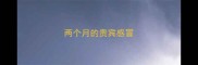 两个月的贵宾感冒