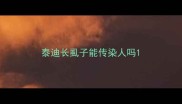 泰迪长虱子能传染人吗