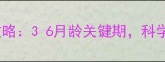 金毛幼犬咬人训练全攻略3-6月龄关键期科学方法让狗狗安静乖巧
