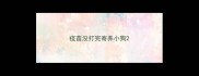 疫苗没打完寄养小狗