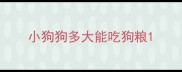 小狗狗多大能吃狗粮