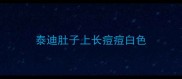 泰迪肚子上长痘痘白色