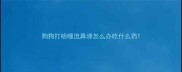 狗狗打喷嚏流鼻涕怎么办吃什么药