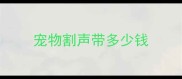 宠物割声带多少钱