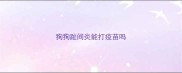 狗狗趾间炎能打疫苗吗