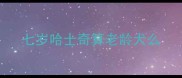 七岁哈士奇算老龄犬么