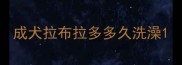 成犬拉布拉多多久洗澡