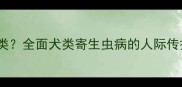狗狗寄生虫如何传染人类全面犬类寄生虫病的人际传播途径及科学防治指南