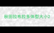 秋田拉布拉多体型大小