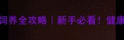 小拉布拉多饲养全攻略新手必看健康活泼养成指南