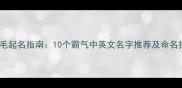 母金毛起名指南10个霸气中英文名字推荐及命名技巧