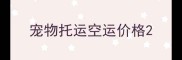 宠物托运空运价格