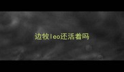 边牧leo还活着吗