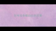 拉布拉多眼白红色尿黄