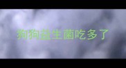 狗狗益生菌吃多了