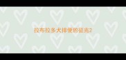 拉布拉多犬排便的征兆