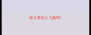 哈士奇玩儿飞盘吗