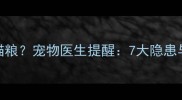 狗狗能不能吃猫粮宠物医生提醒7大隐患与科学喂养指南