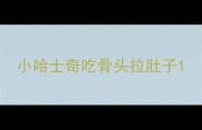 小哈士奇吃骨头拉肚子