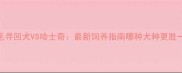 金毛寻回犬VS哈士奇最新饲养指南哪种犬种更胜一筹