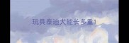 玩具泰迪犬能长多重