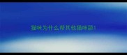 猫咪为什么帮其他猫咪舔