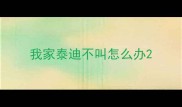 我家泰迪不叫怎么办