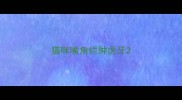 猫咪嘴角烂肿虎牙