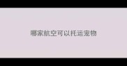 哪家航空可以托运宠物
