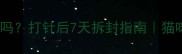 疫苗后能洗澡吗打针后7天拆封指南猫咪狗狗通用版