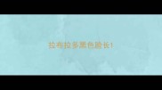 拉布拉多黑色脸长