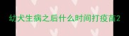 幼犬生病之后什么时间打疫苗