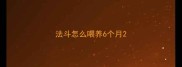 法斗怎么喂养6个月