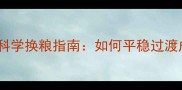边牧幼犬3月龄科学换粮指南如何平稳过渡成犬粮不伤肠胃