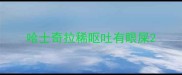 哈士奇拉稀呕吐有眼屎