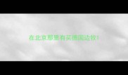 在北京那里有买德国边牧