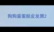 狗狗蛋蛋脱皮发黑