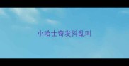 小哈士奇发抖乱叫