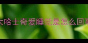 大哈士奇爱睡觉是怎么回事