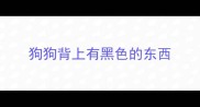 狗狗背上有黑色的东西