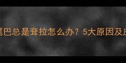 金毛犬尾巴总是耷拉怎么办5大原因及应对措施