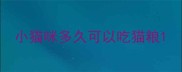 小猫咪多久可以吃猫粮