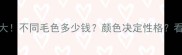 拉布拉多价格大不同毛色多少钱颜色决定性格看完再买不踩坑