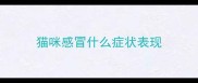 猫咪感冒什么症状表现